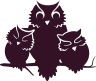 Owls in the Skye